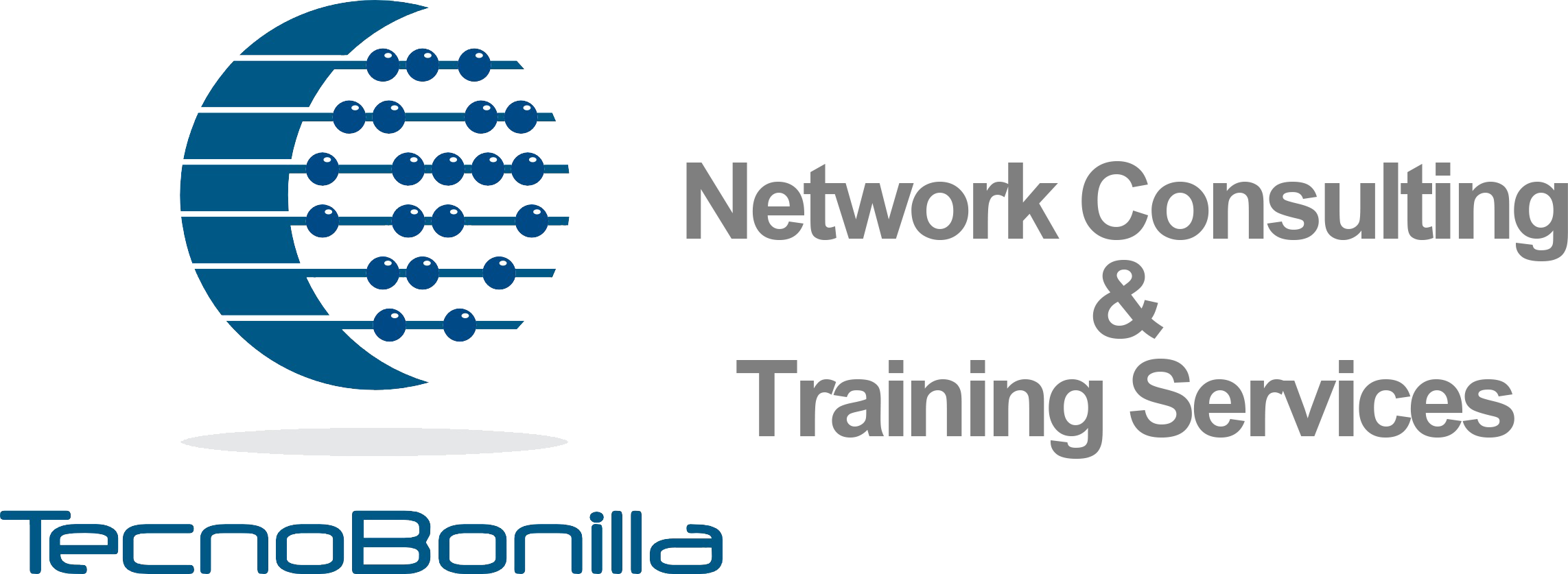 Network Consulting & Training Services